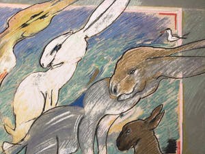 Jacobus Kloppenburg - Hazen - 1987 - Litho kopen? Bied vanaf 50!