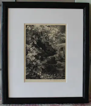 Aart van Dobbenburgh - Z.t. (clematisbloesem over rots) kopen? Bied vanaf 35!