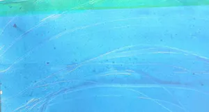 Willibrord Haas - Gicleeprint op canvas frame kopen? Bied vanaf 1!