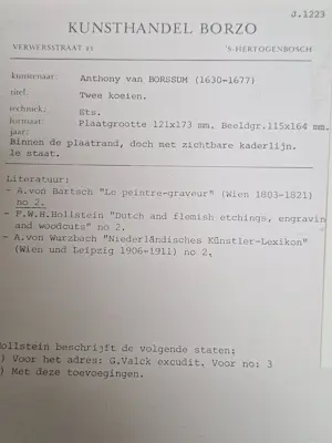 Anthony van Borssum - Rustende koeien kopen? Bied vanaf 200!