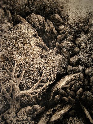 Paul Citroen - 3 vooroorlogse figuratieve Sepia tekeningen (bos)landschappen kopen? Bied vanaf 20!