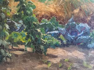 Johannes Cornelis Pabst - rode kool en spruiten in moestuin kopen? Bied vanaf 100!