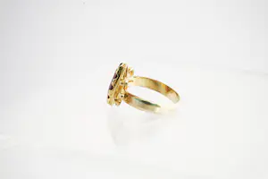 123 - Klassiek model ovalen 14 Krt geel gouden ring met rode edelsteen kopen? Bied vanaf 110!