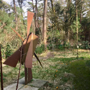 Theo Niermeijer - Vogel kopen? Bied vanaf 2000!