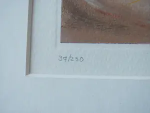 Sylvia Takken - Roofvogel (Ruimte, Vreugde, Kracht) kopen? Bied vanaf 50!