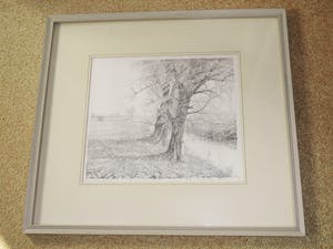 Cees Schellenberg - Tekening - Mariapolder Dordrecht kopen? Bied vanaf 60!