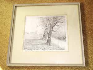 Cees Schellenberg - Tekening - Mariapolder Dordrecht verkocht voor € 60!