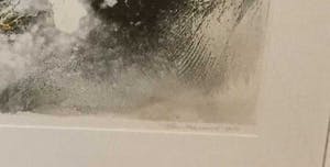 Bas Haasnoot - C2821-3 - Steltloper kopen? Bied vanaf 65!