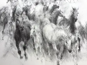 Piet Klaasse - Paarden, proefdrukken offsetlitho, 2-zijdig bedrukt, gesigneerd in druk kopen? Bied vanaf 25!