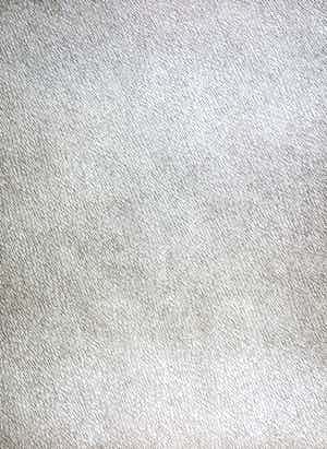 Luc Coeckelberghs - Geschenk aan de leden van Jeugd en Plastische Kunst verkocht voor € 50!