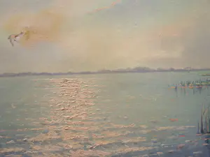 Hans Lenteman - Plasgezicht met eenden kopen? Bied vanaf 50!