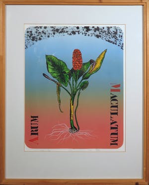 Niet of onleesbaar gesigneerd - Litho. Zonder titel - Ingelijst kopen? Bied vanaf 10!