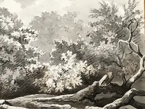 Harry Heijer - Gevelde boom, sepia kopen? Bied vanaf 60!