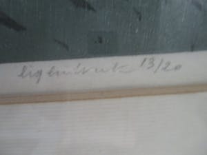Niet of onleesbaar gesigneerd - Houtsnede "Dovenetel" kopen? Bied vanaf 35!