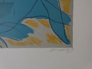Corneille - KOPPEL & KAT & VOGEL / KLEURLITHO / 53x73cm / SIG / 1989 kopen? Bied vanaf 165!