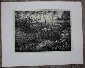 Jan van den Thillart - Litho: Voorjaar - 1958 kopen? Bied vanaf 85!