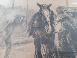 Waalko Jans Dingemans (sr.) - Paarden op de kade in Groningen kopen? Bied vanaf 50!