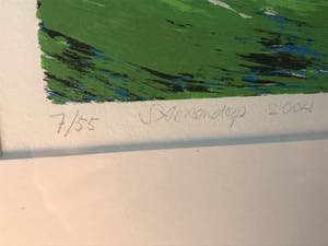 Hjalmar Riemersma - Sterrendorp kopen? Bied vanaf 45!