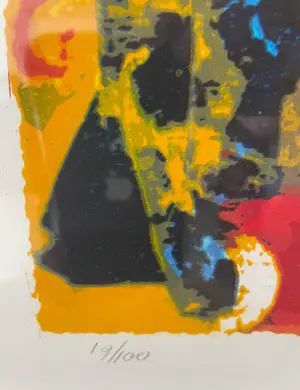 Willem van Scheijndel - Yosiko's smile kopen? Bied vanaf 25!