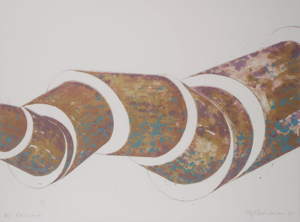 Sjoerd Buisman - Litho, Rhizome - Ingelijst verkocht voor € 35!
