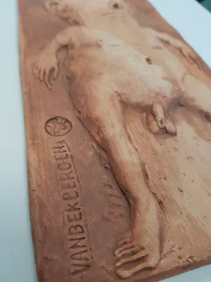 Peter Vanbekbergen - Antropomorfe hangplaat met reliëf kopen? Bied vanaf 100!