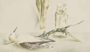 Wim Schuhmacher - Corpus Christi kopen? Bied vanaf 50!