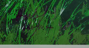 Roel Hofman - Conversation kopen? Bied vanaf 50!