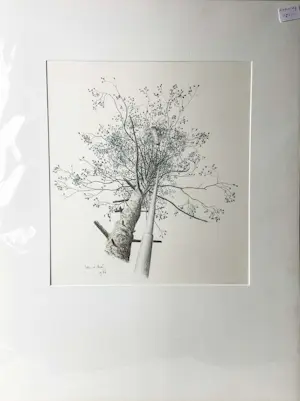 Wim van der Meij - Boom en lantaarnpaal kopen? Bied vanaf 75!