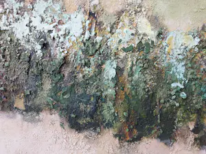 Gerard Strik - Geen Titel (groot!) kopen? Bied vanaf 510!