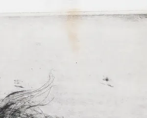 Hans van Efferen - Ets, Jim Stegeman kopen? Bied vanaf 1!