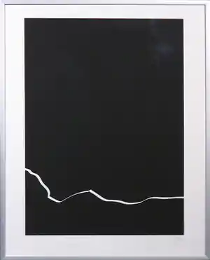 Harry van Kuyk - Zeefdruk uit het portfolio Grafinu - Ingelijst verkocht voor € 1!