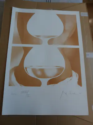 Rob Scholte - Zeefdruk, Cascade (groot) kopen? Bied vanaf 120!