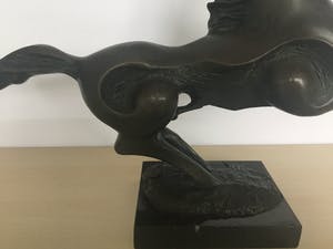 Brons (Onbekend) - Paard kopen? Bied vanaf 60!
