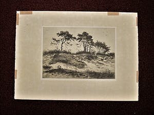 Martin van Waning - Mooie grote Droge Naald Ets - Duinlandschap Schiermonnikoog - gesigneerd kopen? Bied vanaf 29!