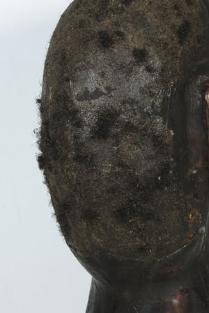 Ekoi - Dansmasker (Zeer bijzonder!) bekleed dierenhuid kopen? Bied vanaf 1!