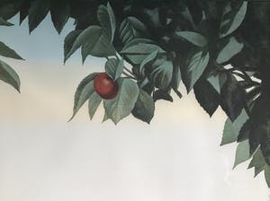 Jean Paul Vroom - Cherry kopen? Bied vanaf 100!