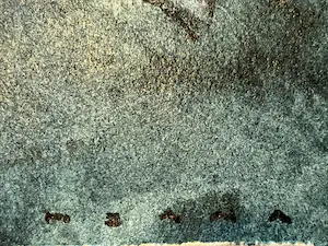 Machiel Hopman - GEZICHTEN kopen? Bied vanaf 149!