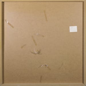 Anna Verrijt - Zeefdruk op papier op hout, Heksenkring kopen? Bied vanaf 1!