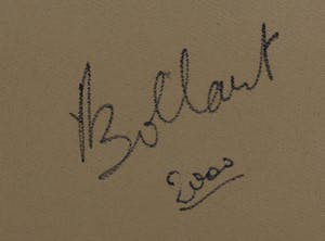 Jan Bollaert - Gemengde techniek op board, Origin of species red (Groot) kopen? Bied vanaf 70!