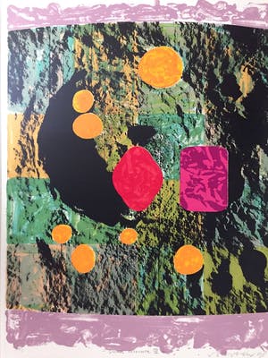 Jelis van Dolderen - Luna colorata III - Zeefdruk (groot) kopen? Bied vanaf 40!