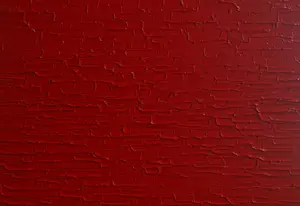 Bruno CANTAIS - RED PASSION kopen? Bied vanaf 420!