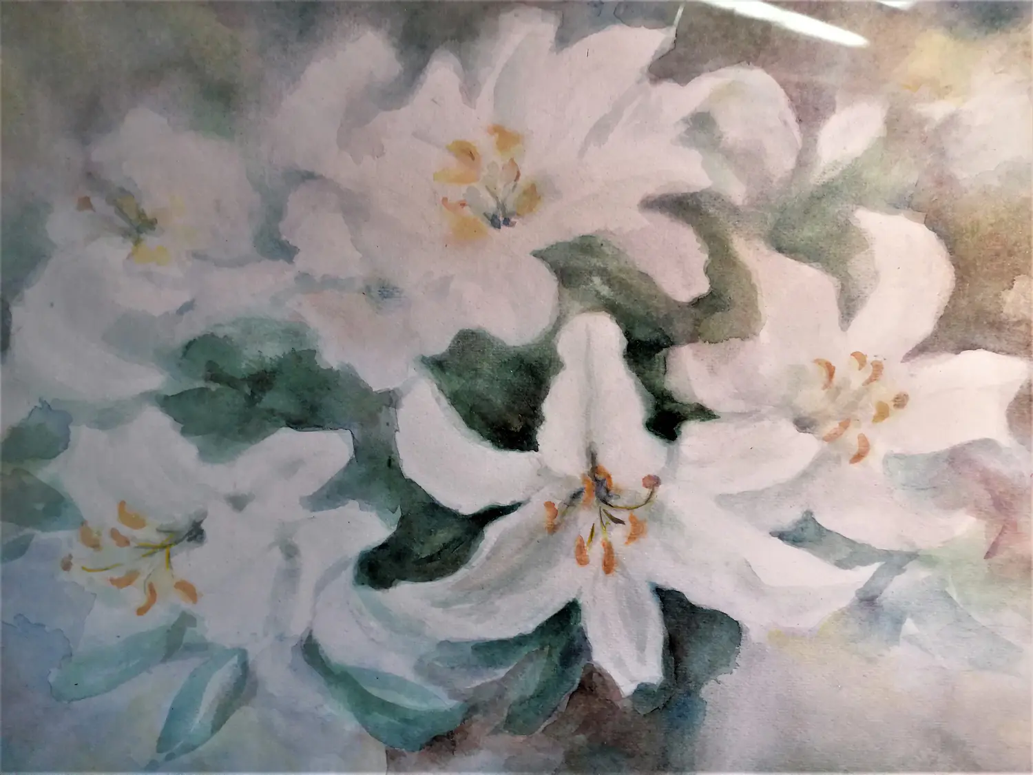 Digna Canneman (1912-2003)