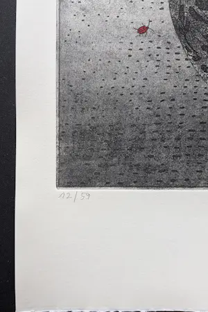 Jurgen Schneider - gisteren wordt het beter - complete set met drie handgekl. etsen, doos, tekst kopen? Bied vanaf 159!