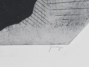 Ko Prange - Bijzondere vegetatie - Ets kopen? Bied vanaf 45!