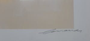 Eugene Brands - Zeefdruk " Composition Au Fond Couleur d'Ivoire ( 9-8-1993)". kopen? Bied vanaf 245!