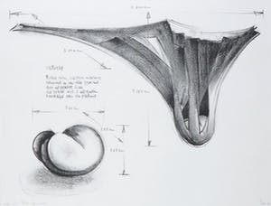 Twan van de Vorstenbosch - Litho, Ontwerp - Ingelijst kopen? Bied vanaf 1!