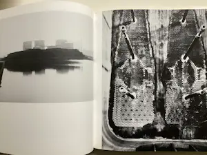 Buy Martien Coppens - 2 titels met (Landschaps) fotografie? Bid from 55!