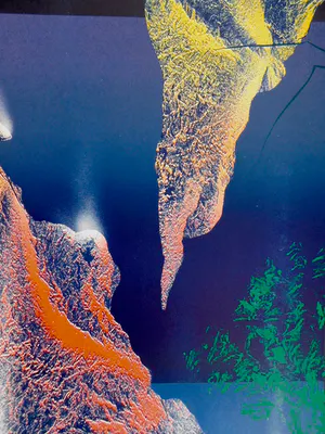 Vincent Mengin-Lecreult - Evolution kopen? Bied vanaf 35!