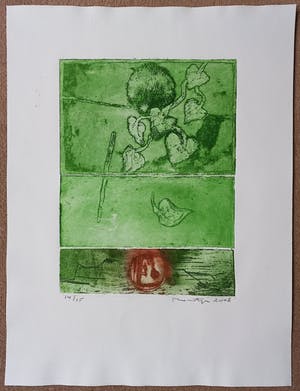 Jan Montyn - Hien’s garden, aquatint ets (kleine oplage) kopen? Bied vanaf 115!