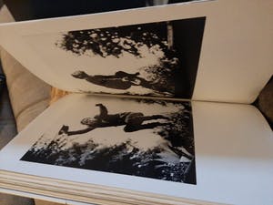 Anton Corbijn - Waits/Corbijn '77-'11 kopen? Bied vanaf 1000!